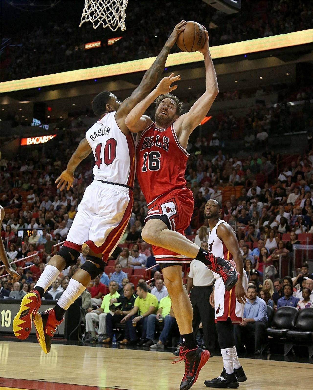 华班阵容 华班阵容