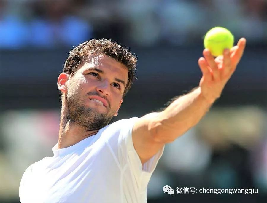 仅为他们带 仅为他们带